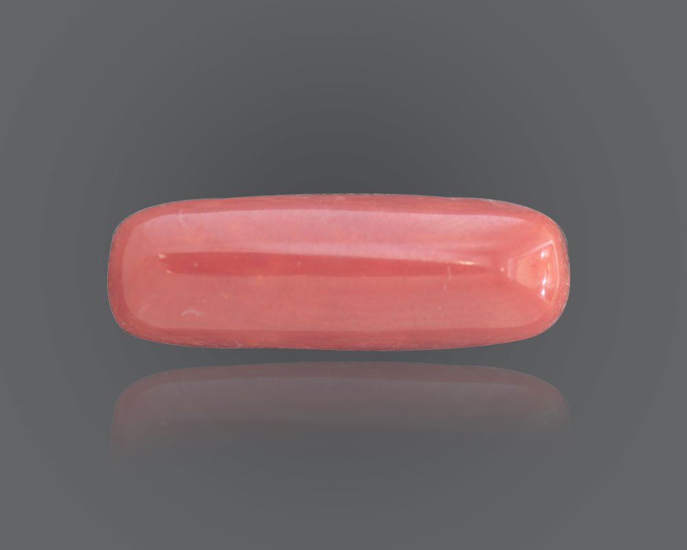 Red Coral Stone Price moonga Gemstone Online Ratna Bhandaruy